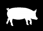 gallery/portada.mitos_.cerdo_-300x216